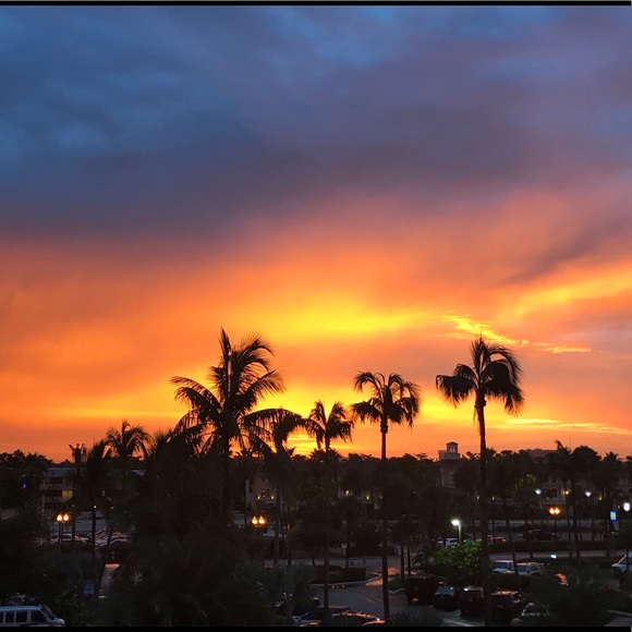 Meet your Posher, Marisa - Picture 4 of 4